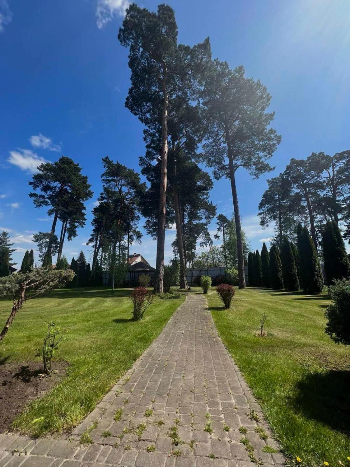 Отель Borovik Новоселки Экстерьер фото